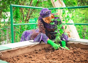 Oluremi Tinubu Urges Women to Lead National Food Security Campaign