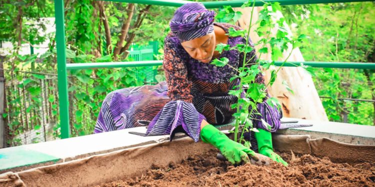 Oluremi Tinubu Urges Women to Lead National Food Security Campaign