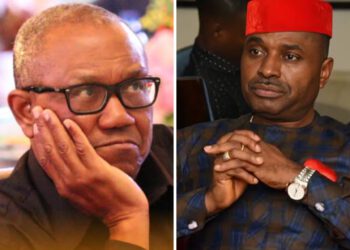 Kenneth Okonkwo Cuts Ties with Peter Obi, Citing Lack of Leadership and Party-Building Ability