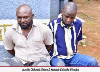 NDLEA Busts Major Methamphetamine Cartel in Imo State, Arrests Wanted Drug Kingpin and Associates