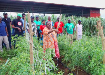 Lagos Govt Reaffirms Commitment to Food Security as New Generation of Farmers Graduates from Araga Program