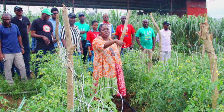 Lagos Govt Reaffirms Commitment to Food Security as New Generation of Farmers Graduates from Araga Program