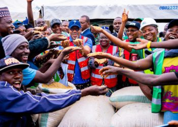 Ogun Joins League of Large-Scale Rice-Producing States as Abiodun Flags Off Harvest of 200-Hectare Plantation