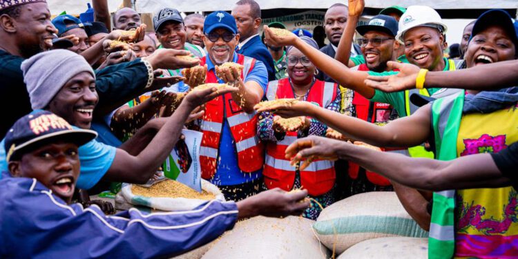 Ogun Joins League of Large-Scale Rice-Producing States as Abiodun Flags Off Harvest of 200-Hectare Plantation
