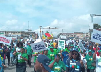 Photo News: Visuals from the Awareness Walk organized by the Lagos State Ministry of Agriculture and Food Systems