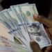 Nigeria Loses N13 Trillion to FX Subsidies, World Bank Report Reveals