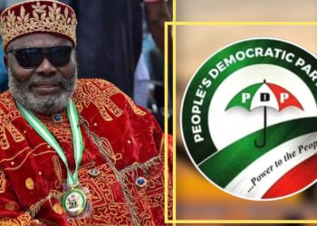 Power Struggle in PDP: BOT Chair Adolphus Wabara Expelled Amid Internal Rifts