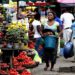 Nigeria’s Inflation Rate Declines to 23.18%