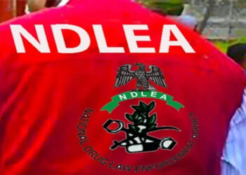 Gunmen Open Fire on NDLEA Operatives During Abuja Drug Raid, Three Officers Hospitalised