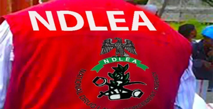Gunmen Open Fire on NDLEA Operatives During Abuja Drug Raid, Three Officers Hospitalised
