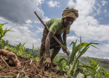 Indigenous Communication Central for Climate Change Adaptation among Rural Farmers