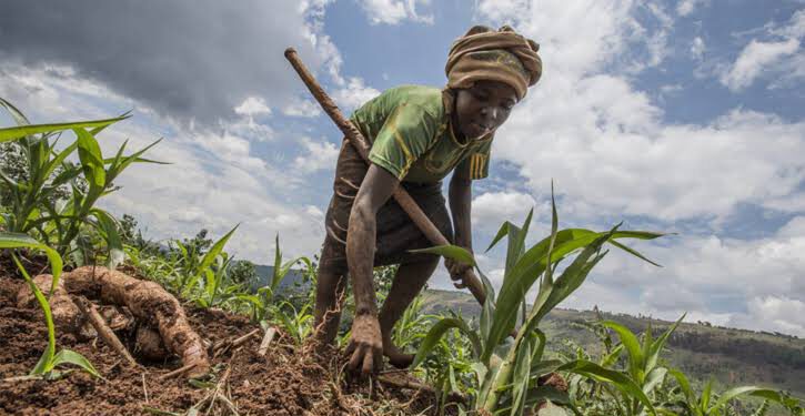 Indigenous Communication Central for Climate Change Adaptation among Rural Farmers