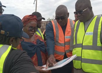 Lagos, DULA Agro Services Limited Launch Fish Farming Project to Cut Fish Imports and Empower Local Farmers