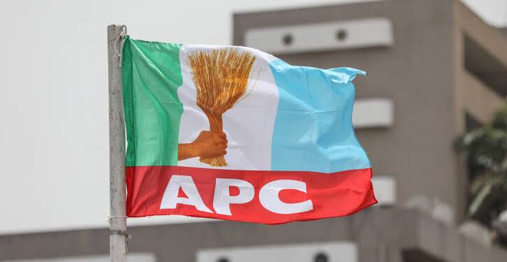 Youth Group Praises APC Over Success of LG Election Primaries