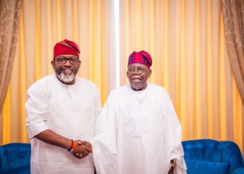 Lagos Lawmaker Hails Tinubu’s Achievements, Says Nigeria Experiencing Steady Growth