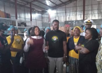 Lagos Government Partners Agribusinesses to Boost Food Security and Youth Empowerment