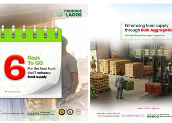 Lagos to Launch “Produce for Lagos” Programme to Revolutionize Food Supply and Empower Farmers Nationwide