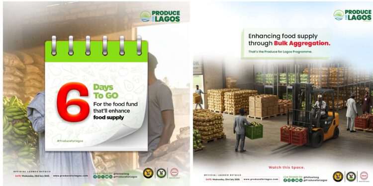 Lagos to Launch “Produce for Lagos” Programme to Revolutionize Food Supply and Empower Farmers Nationwide