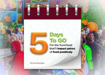 LASG, Lagos Food Systems Infrastructure Company Set to Launch ‘Produce for Lagos’ in Five Days