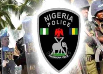Why is Nigeria Police Force Afraid of Smart Glasses?