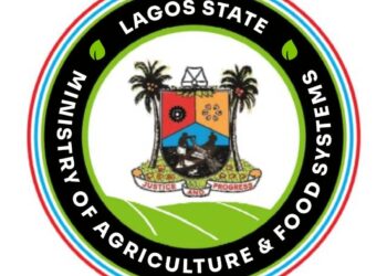 Lagos Begins Farmers’ Registration Under ‘Produce for Lagos’ Programme
