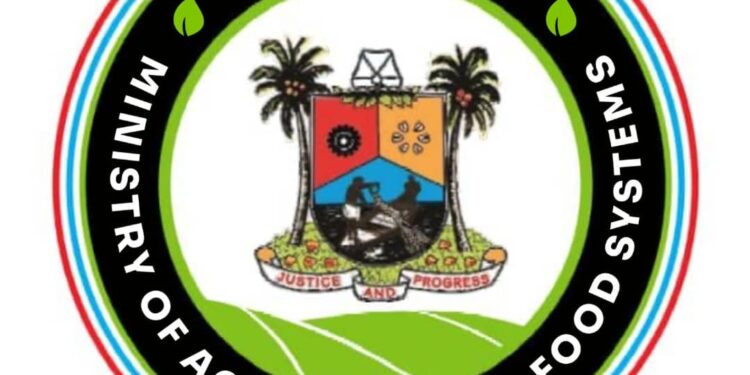 Lagos Begins Farmers’ Registration Under ‘Produce for Lagos’ Programme