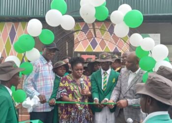 Lagos Takes Farming to Classrooms, Inspires Young Agripreneurs