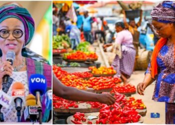 Oluremi Tinubu Urges Collective Action to Achieve Food Security in Nigeria