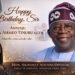 Adunni Hails Tinubu’s Leadership on Birthday, Praises Reforms and Global Recognition