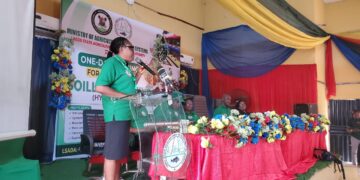 Lagos Promotes Hydroponics as Farmers Advocate Expanded Training for Food Security