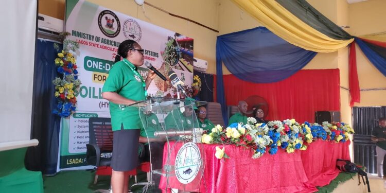Lagos Promotes Hydroponics as Farmers Advocate Expanded Training for Food Security