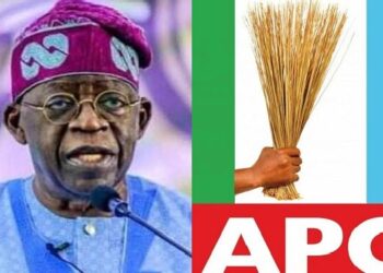Governors vs APC Stakeholders: Civil War That Could Sink Party Before 2027