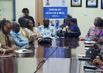 Lagos Promotes Fortified Rice as Fashola Calls for Stronger Nutrition, Quality Standards