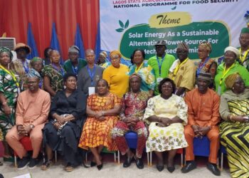 Lagos Turns to Solar Power to Cut Farming Costs, Boost Food Production