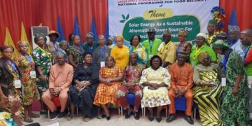Lagos Turns to Solar Power to Cut Farming Costs, Boost Food Production