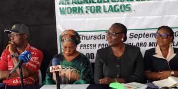 Lagos Moves to Overhaul Agricultural Laws, Target Food Security, Investment