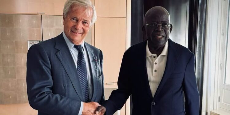 Tinubu Meets Bolloré, Seeks Bigger Investment in Nigeria’s Creative, Digital Economy