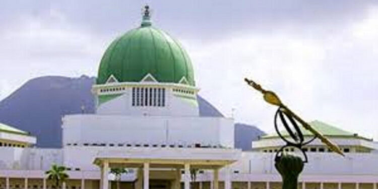 Nigerian Laws to Go Local as National Assembly Plans Hausa, Yoruba, Igbo Translations