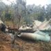 CAIDOV demands probe into Ondo Air Force crash, condoles Tinubu, military