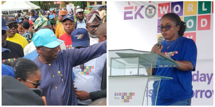 Olusanya Reaffirms Lagos’ Commitment to Food Security, Affordable Prices